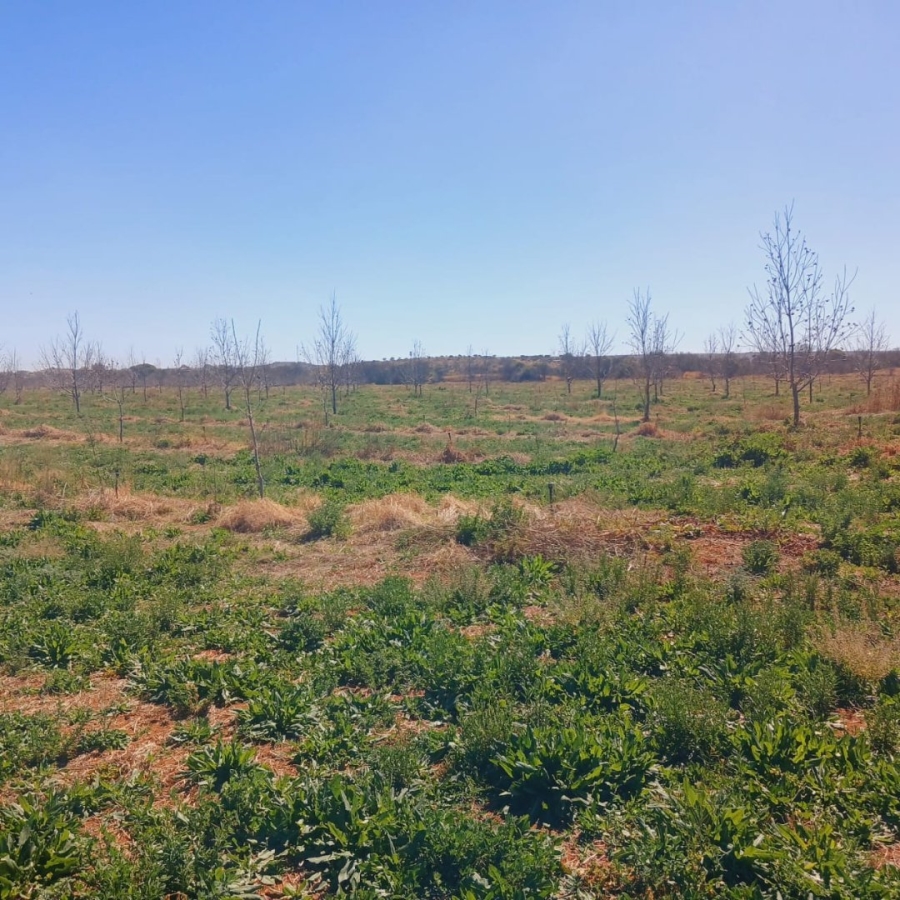  Bedroom Property for Sale in Hartswater Rural Northern Cape